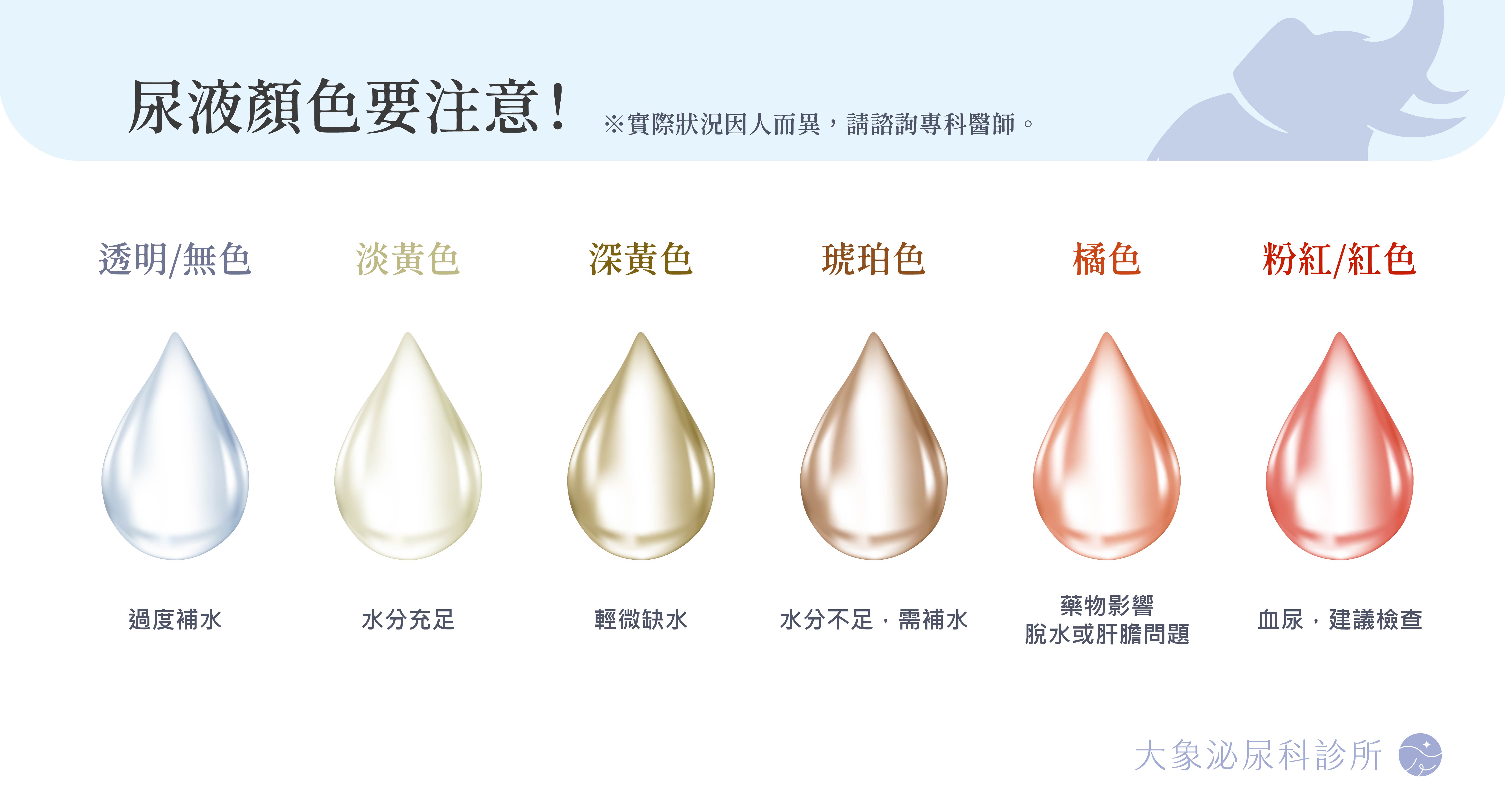 桃園 中壢/泌尿科/大象 - 血尿是什麼？尿液變紅正常嗎？ 血尿原因、症狀與治療方式完整解析