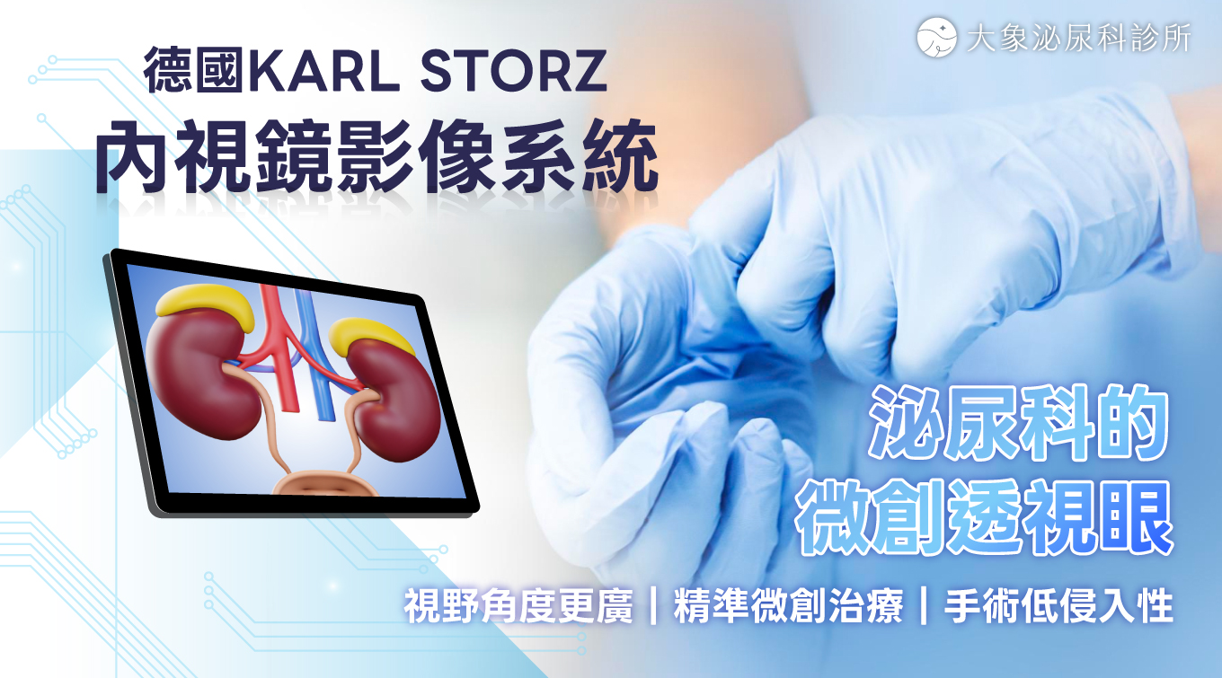 桃園 中壢/泌尿科/大象 - 德國KARL STORZ內視鏡影像系統：泌尿科的微創透視眼