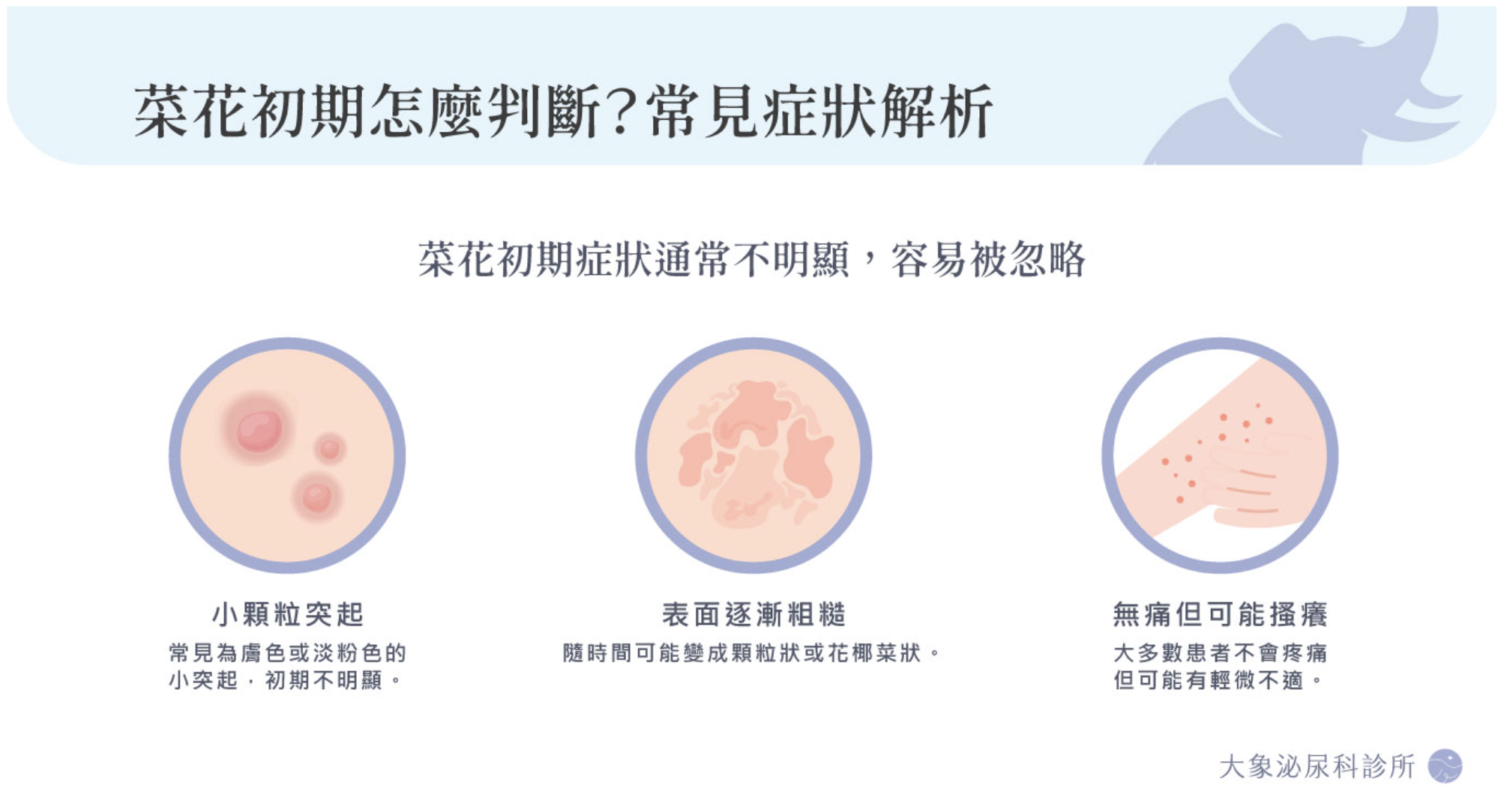 桃園 中壢/泌尿科/大象 - 菜花是什麼？會自己好嗎？HPV菜花完整解析與初期判斷